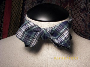 blue plaid dp tied